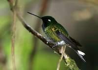 ��β�ҷ���