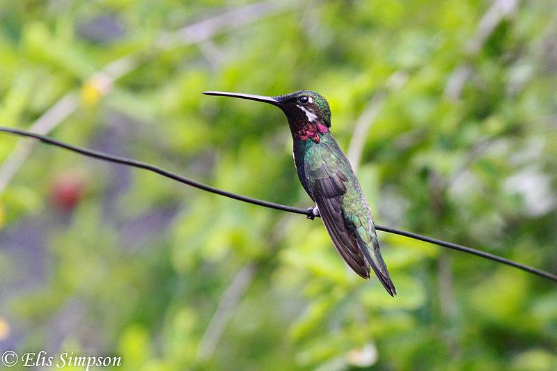 �����Ǻ������ͼƬ