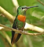 ���Ϸ����ͼƬ