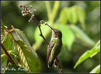 �ۺ��ͷ����ͼƬ