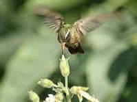 ���Ϸ���