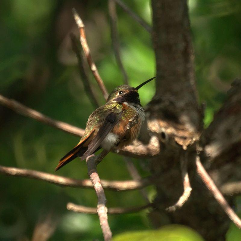 �͹������Ƿ����ͼƬ