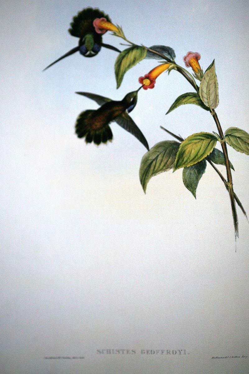 Ш������ͼƬ