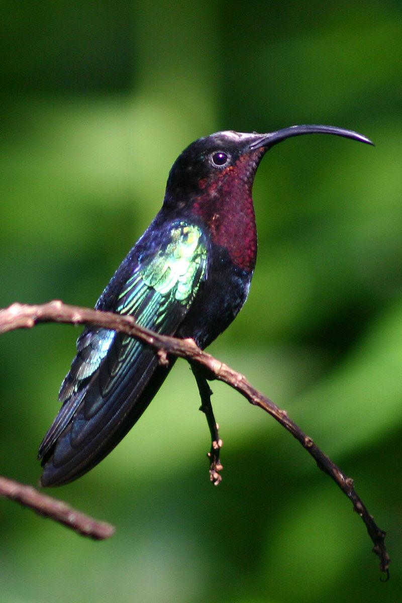 �Ϻ������ͼƬ