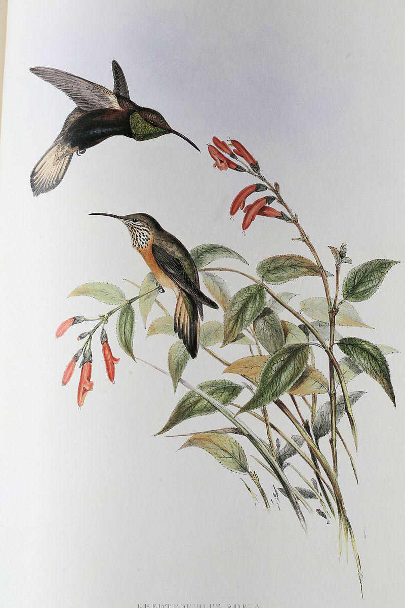 Шβɽ·äÄñ Шβɽ·äÄñµÄͼƬ