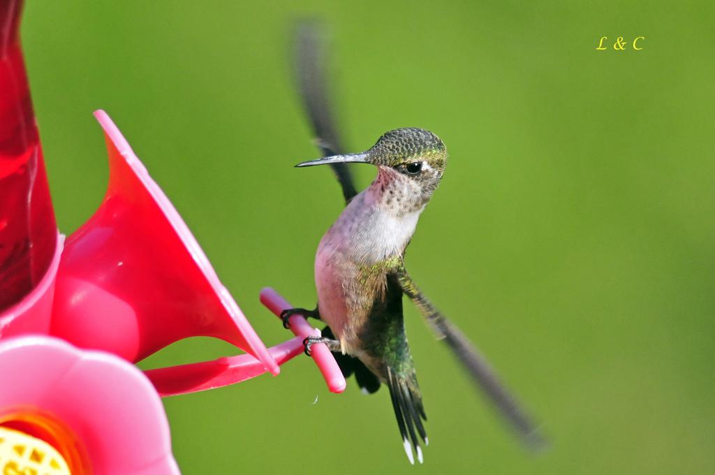 �������