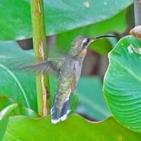 ��β�ں�����