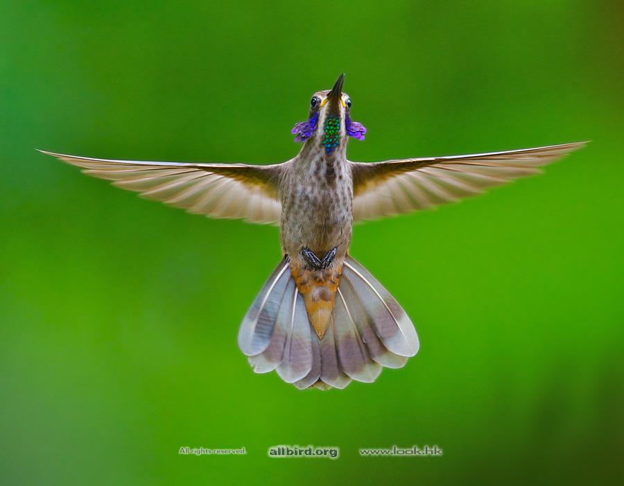 ���϶�����