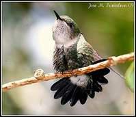 С���۷���