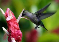 С���۷���