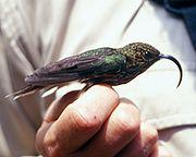 ��β���������