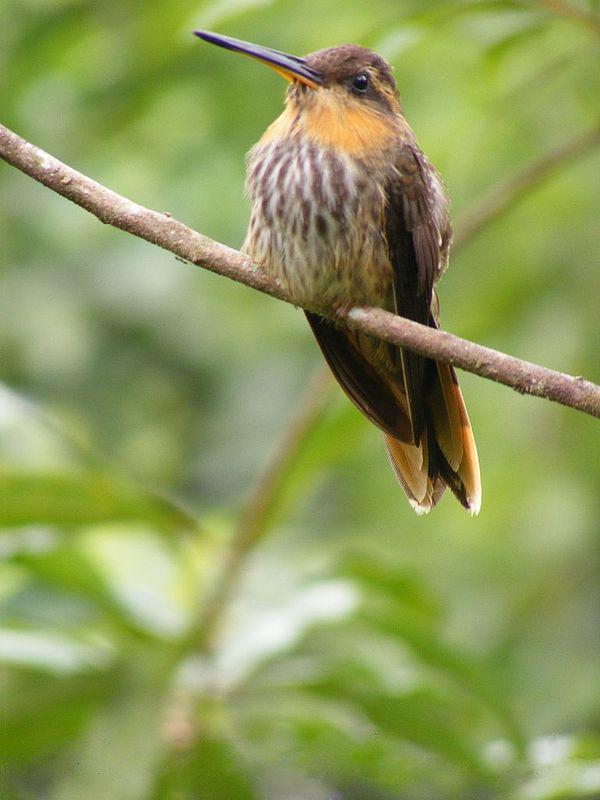 �������ǿƵ�ͼƬ