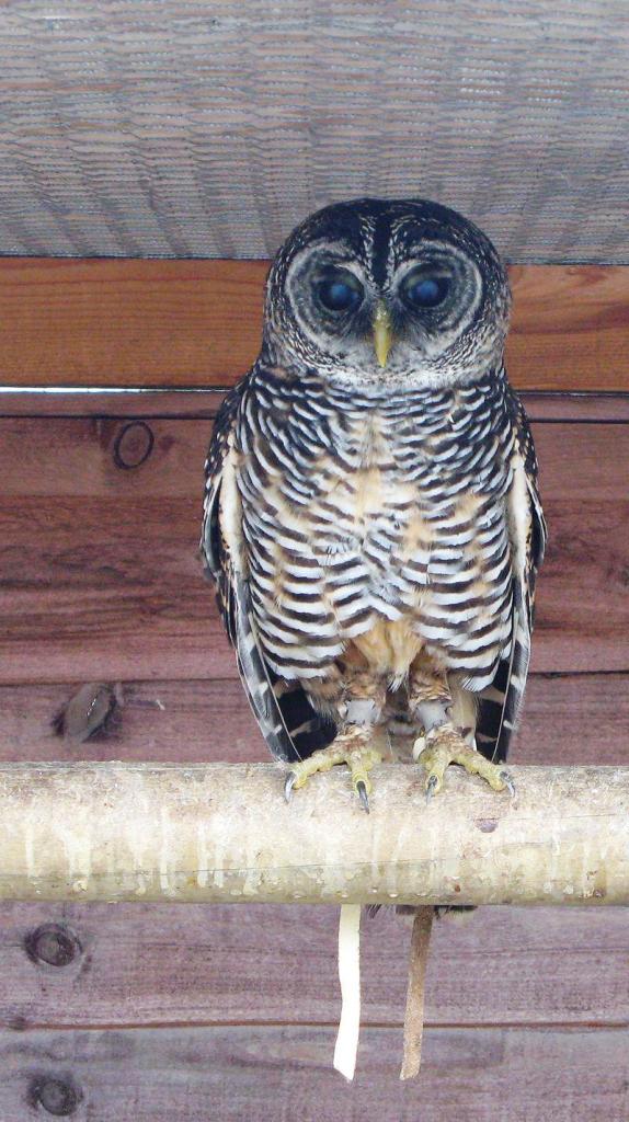 �ذ����^��ͼƬ