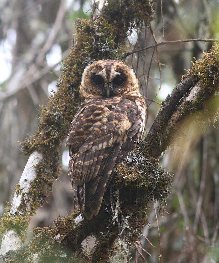 �ذ߽��^��ͼƬ