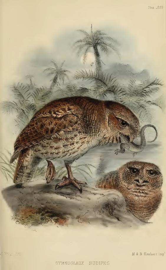 ��ü���^��ͼƬ