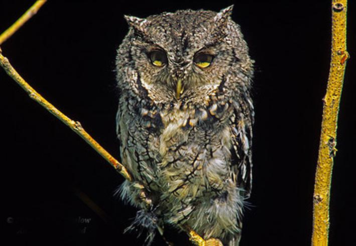 �������^