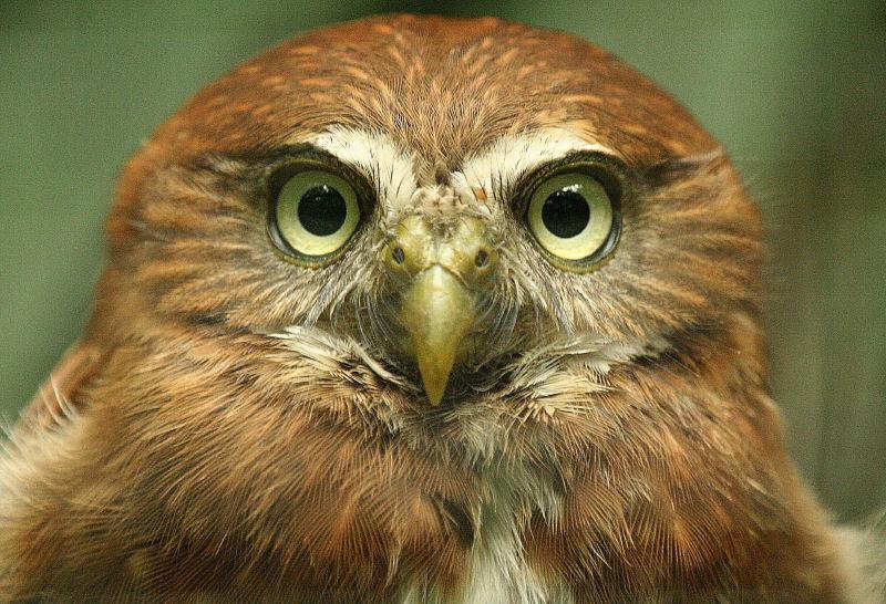 �ް���鵹��^��ͼƬ