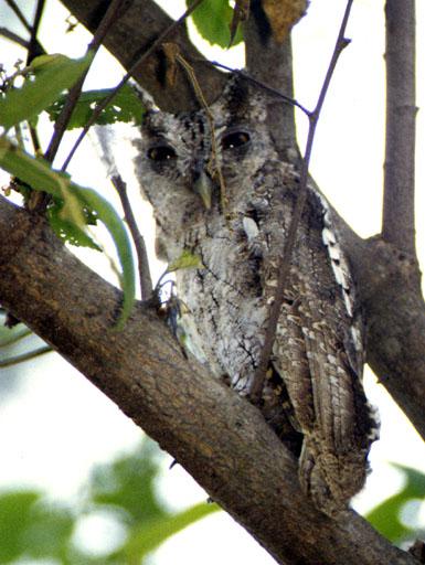 ̫ƽ����^��ͼƬ