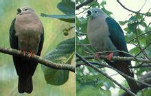 ̫ƽ�����ͼƬ