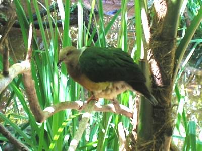 ��β����ͼƬ