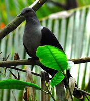 ��������ͼƬ