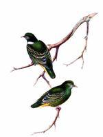 С�̹���ͼƬ