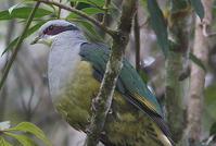 ���Ϲ���ͼƬ