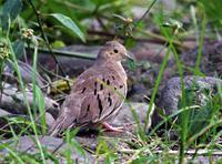 ��϶�����