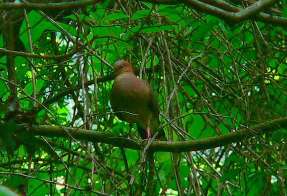 �����س���ͼƬ