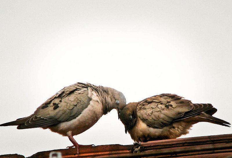 ��β����ͼƬ