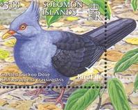 ��ͷ��β��ͼƬ