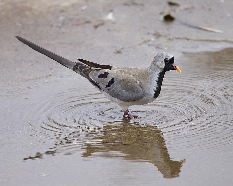 С��β��ͼƬ