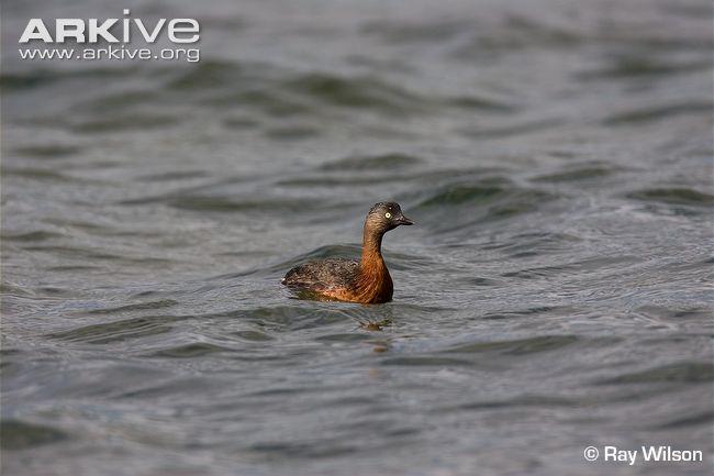 �������G�f