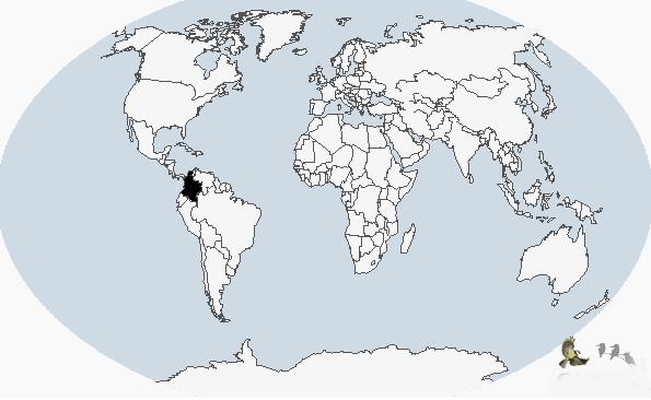 ���ױ����G�f