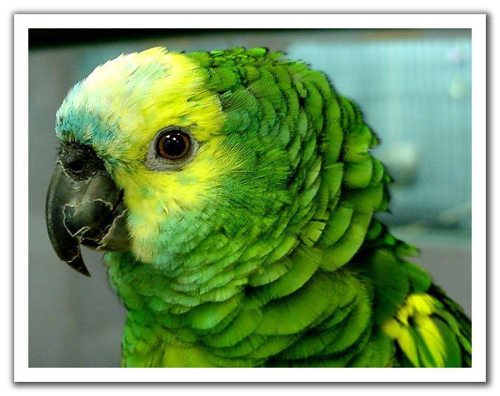 ��������ͷ����ѷ���ĵ�ͼƬ