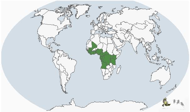 ���޻�����