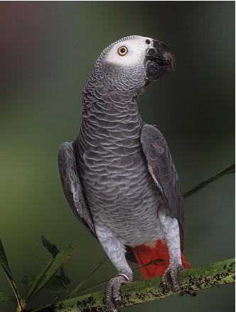 ���޻�����