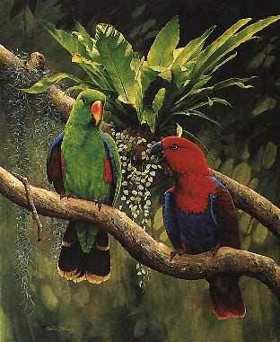 �������ĵ�ͼƬ