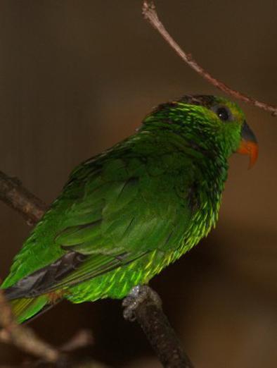 ������������