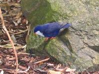 ������������