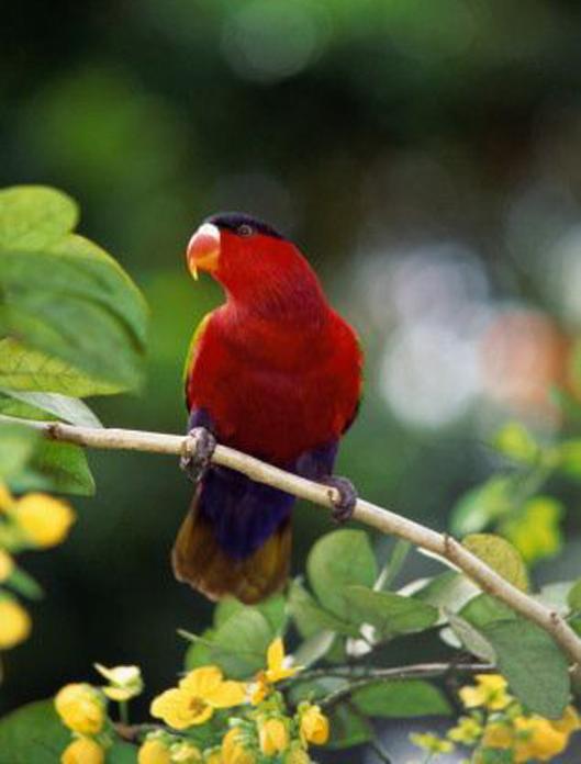 �ϸ���������