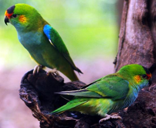 �Ϲ���������