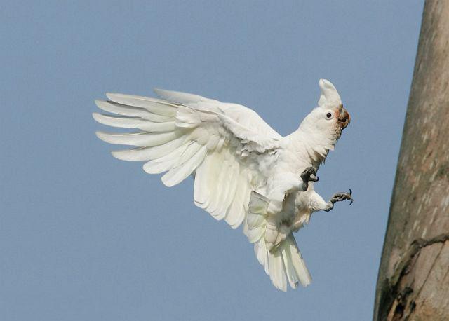 ����Ϸ�ͷ����