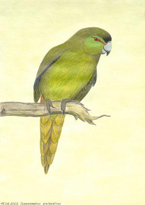 �ڶ����ĵ�ͼƬ