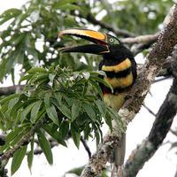 �ΰߴ��������