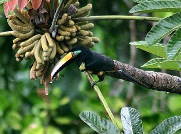 �ΰߴ��������