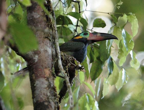 ������С������