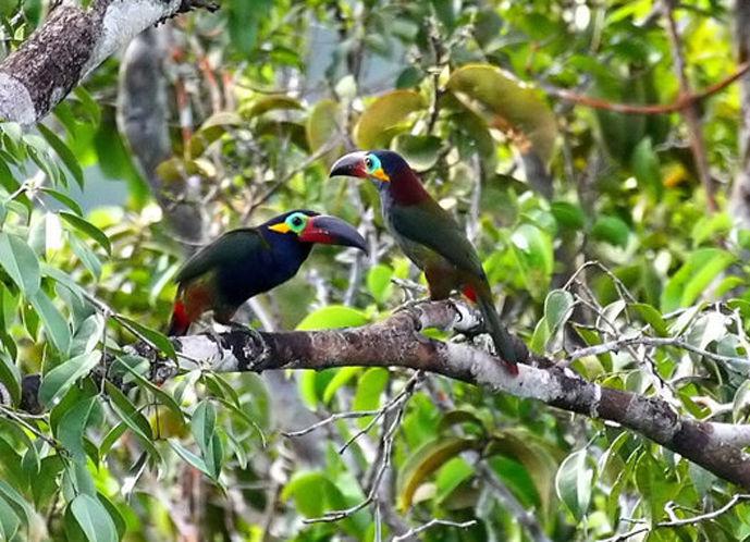 ������С������