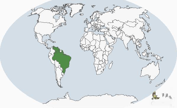 ������С������