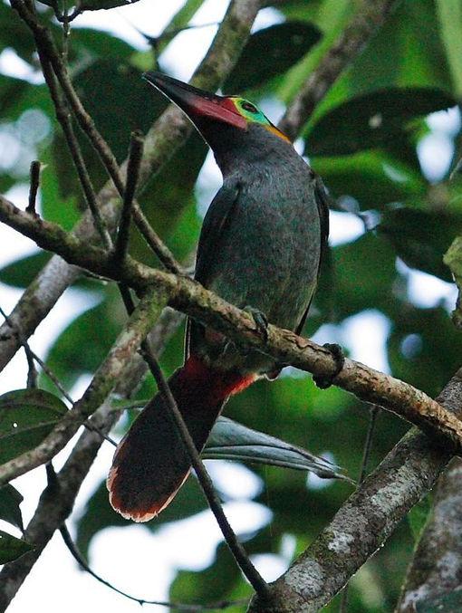 ������С������